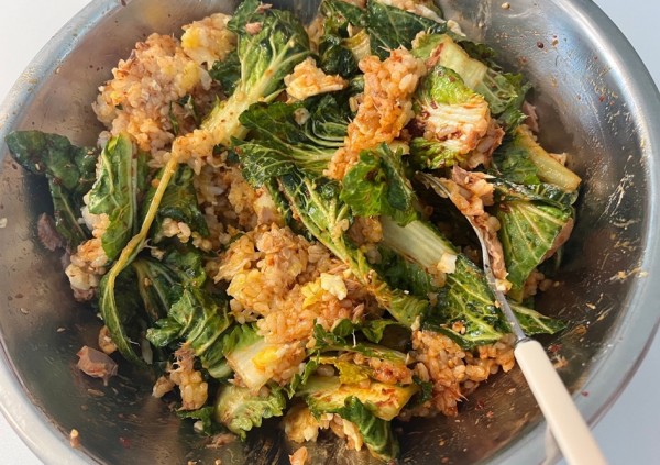 ae7916a8dd0922808d530c252fed91f0_1773590