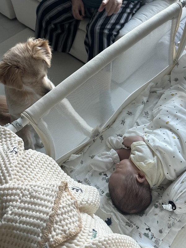 c3fa8c78a000d09ee636e4b0d336b2d1_1762503