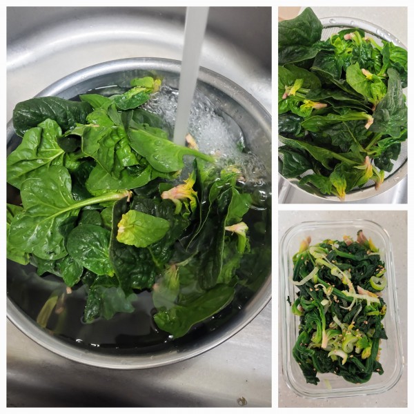 9d5b9e1d466ce52ed806b90f8c8cc6b2_1766449