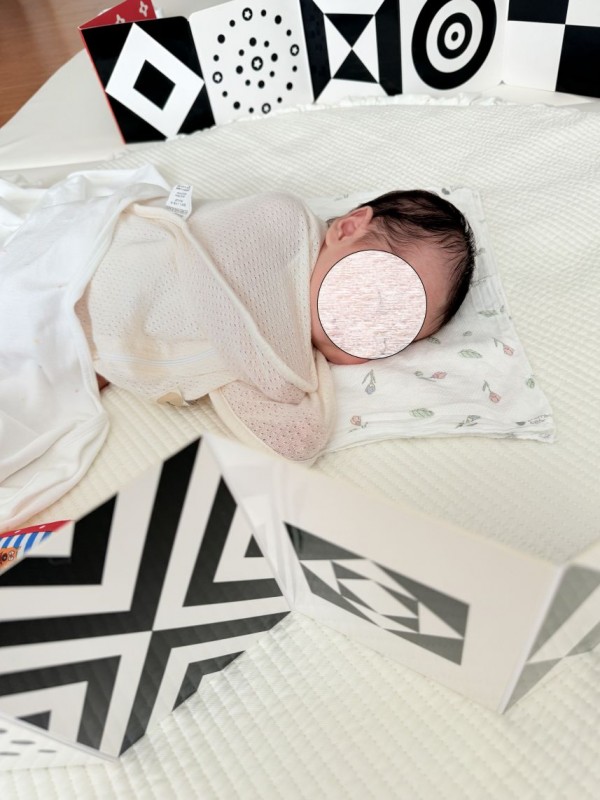 cb544176824fc3ab1463b74ec13a1f01_1772716